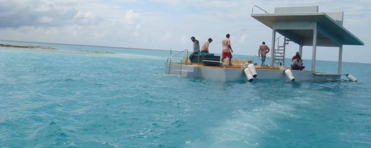 DSC05058